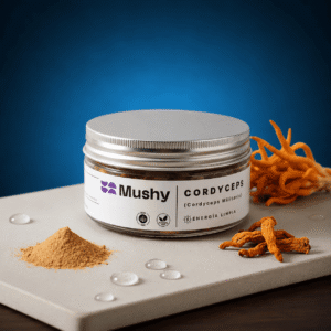 CORDYCEPS 100% PURO (Cordyceps militaris)